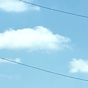 Meet your Posher, Ray